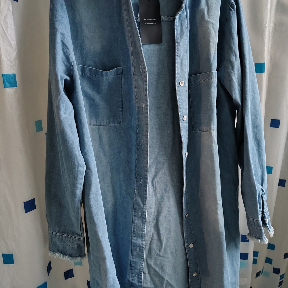 Denim Long Sleeve Dress